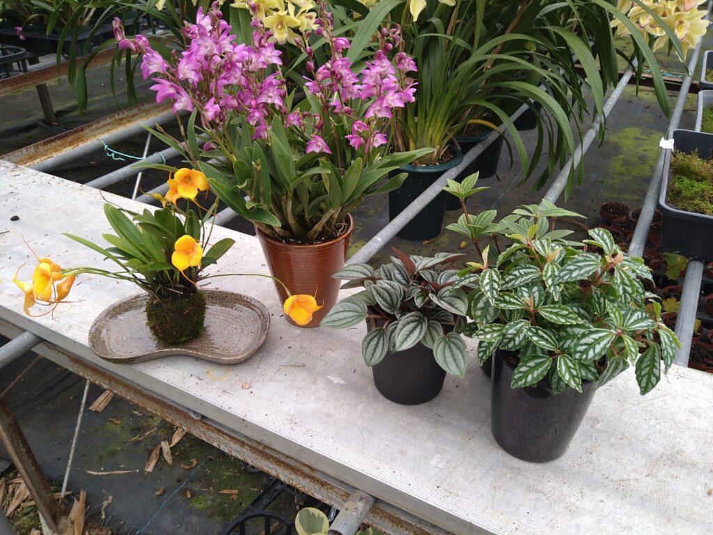 岐阜県恵那農業高等学校 Ceramic Valley Craft Camp